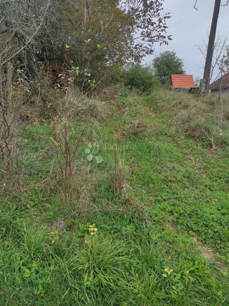 Image 6144957 - 7