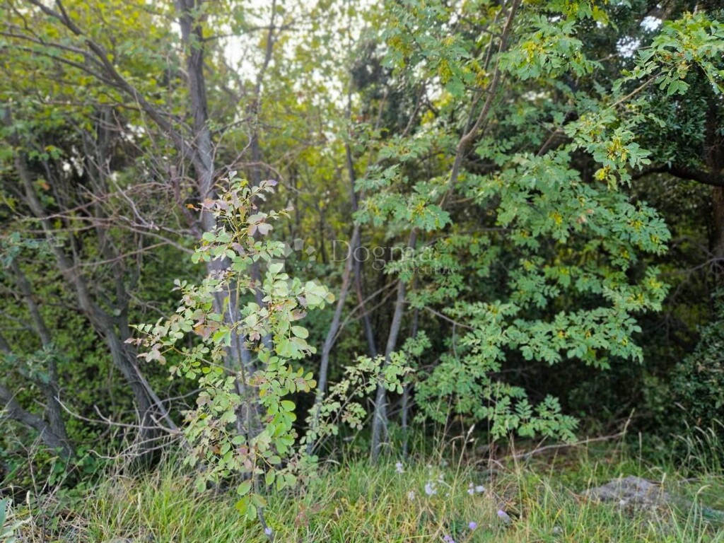 Image 6144978 - 4