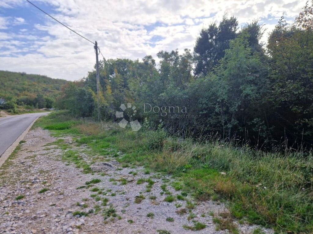 Image 6144978 - 3