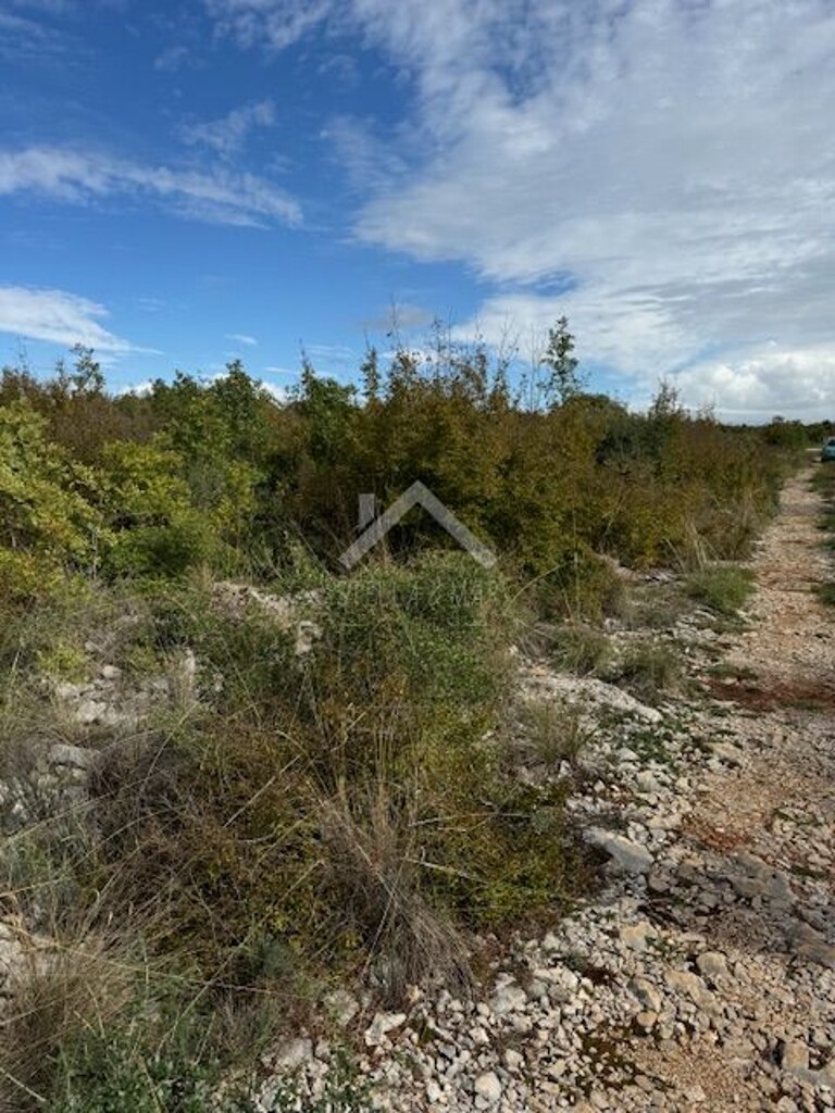 Image 6144982 - 4