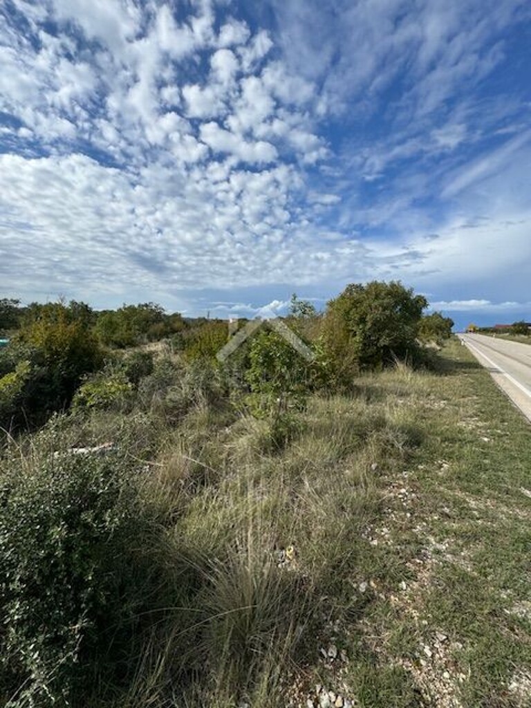Image 6144982 - 2