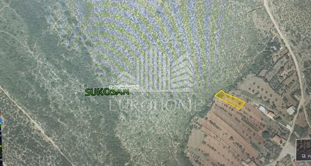 Image 6145002 - 3