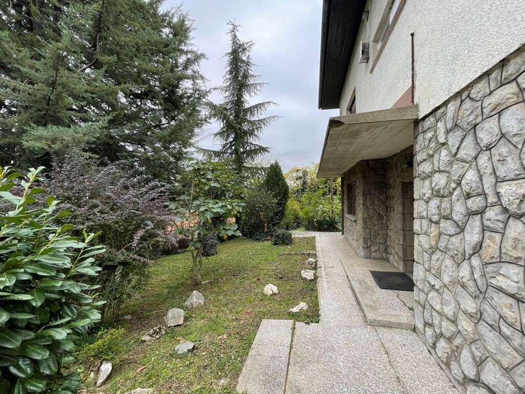 Image 6145077 - 8