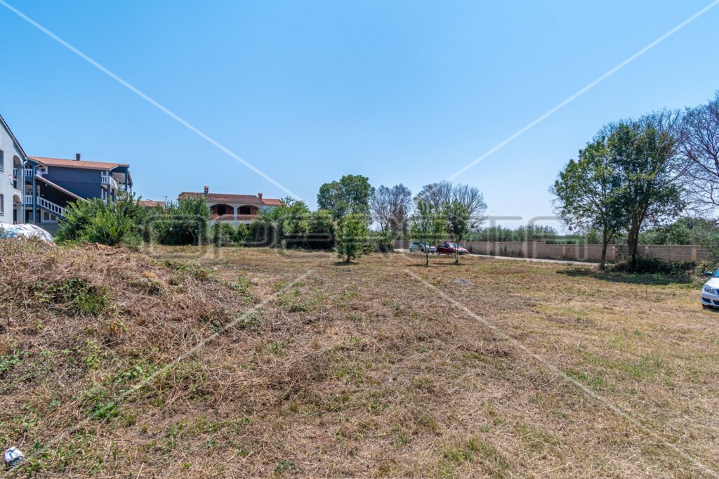 Image 6145109 - 4