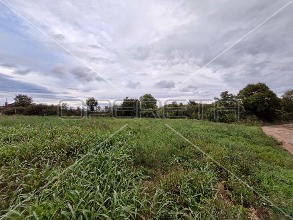 Image 6145110 - 1