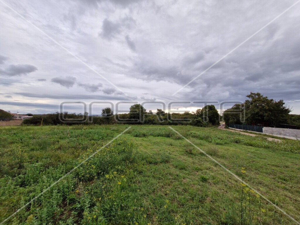 Image 6145110 - 2