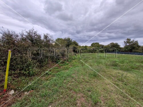 Thumbnail 6145110 - 3