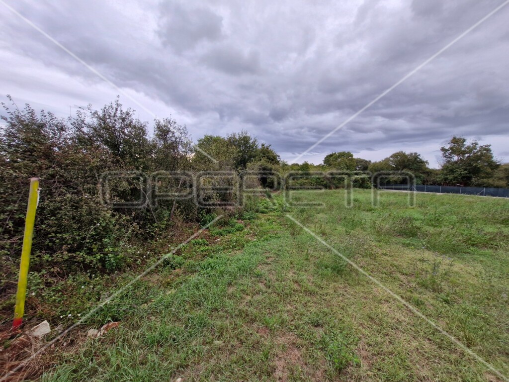 Image 6145110 - 3