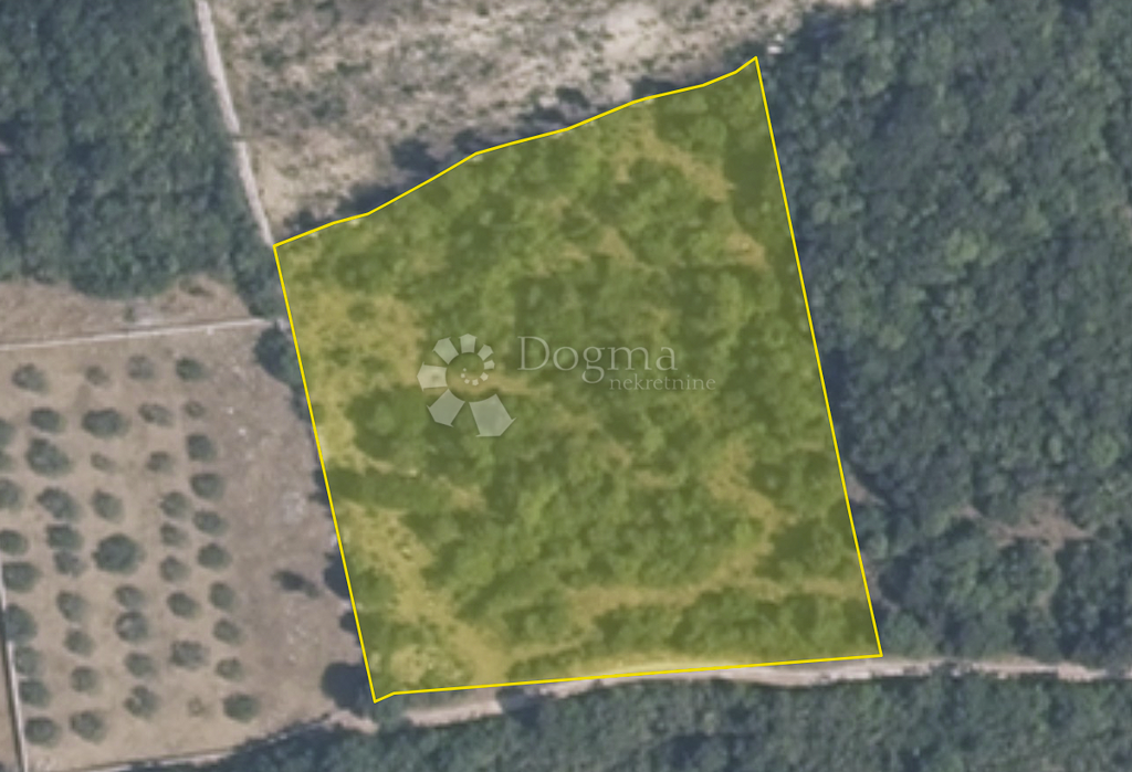Image 6146202 - 2