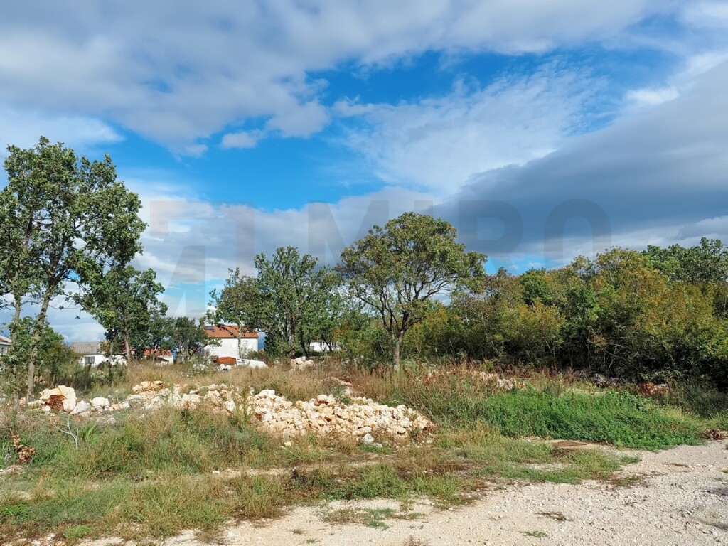 Image 6146255 - 3