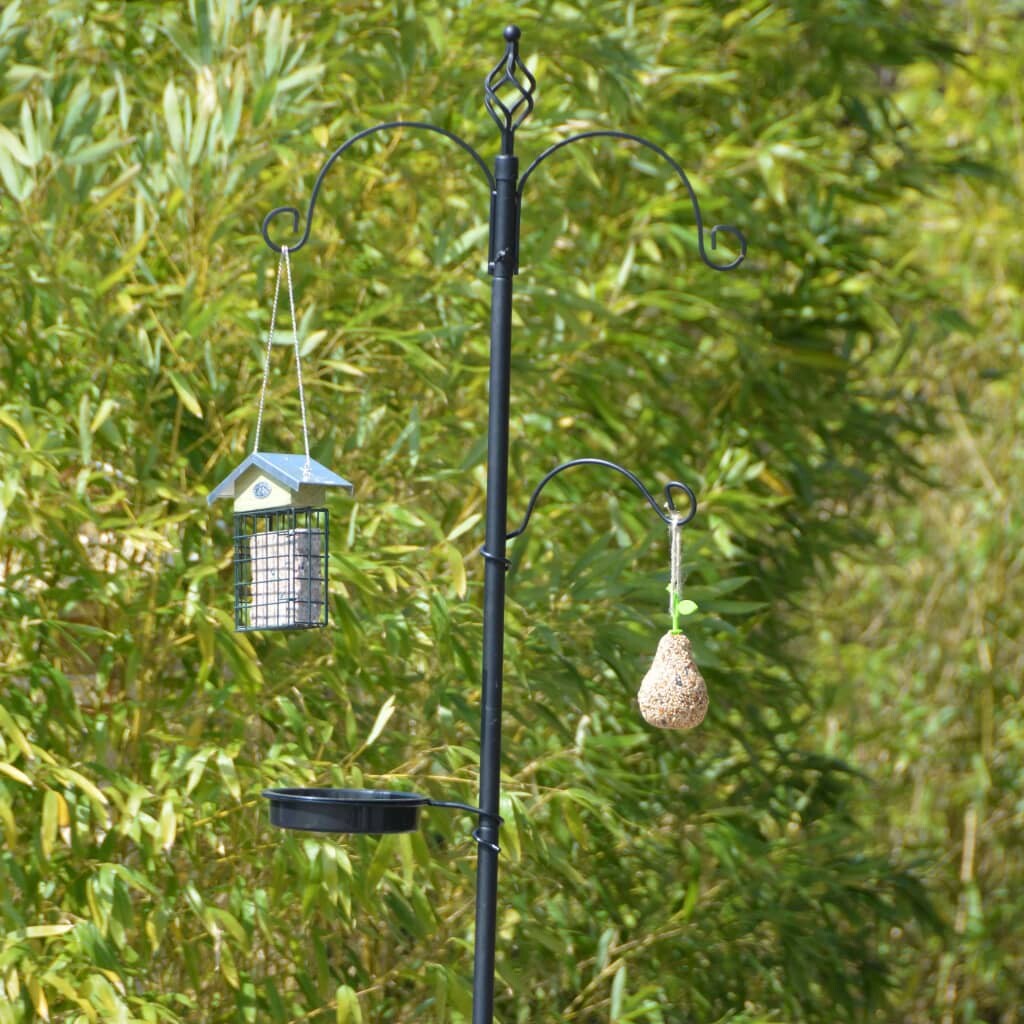 Image 6146967 - 5