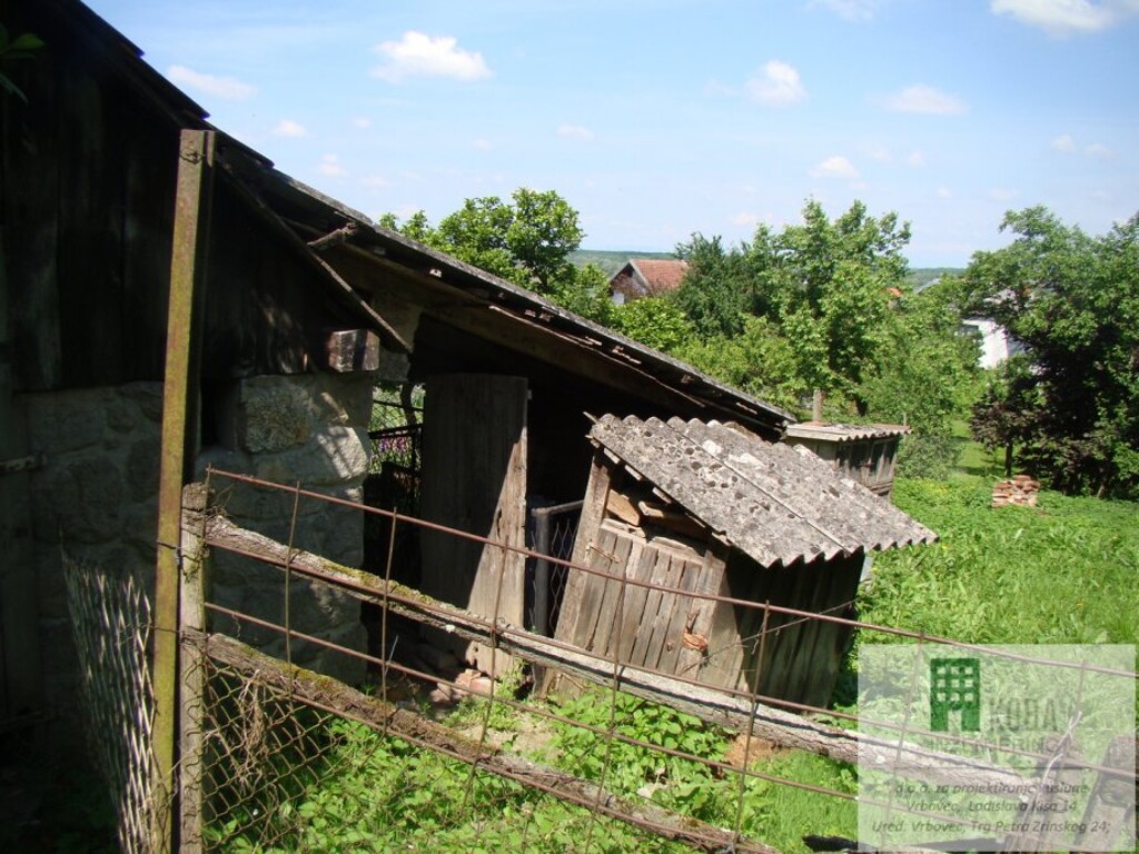 Image 10