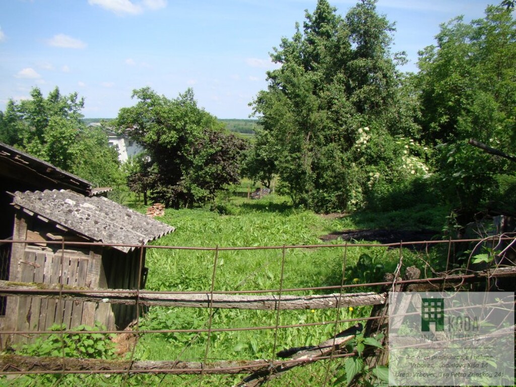 Image 9