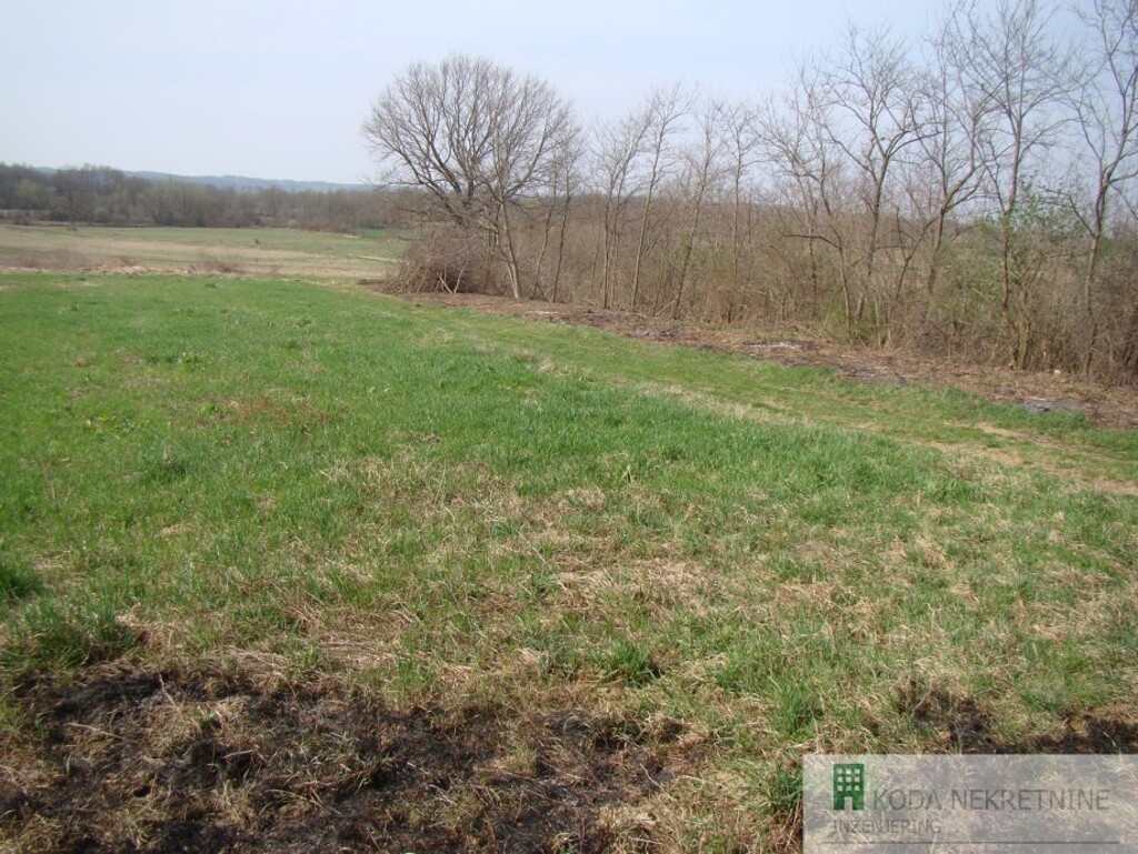 Image 15