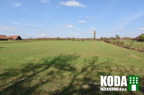 Thumbnail 6149680 - 6