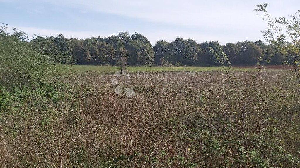 Image 6149837 - 2