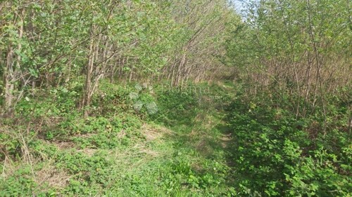 Thumbnail 6149837 - 5