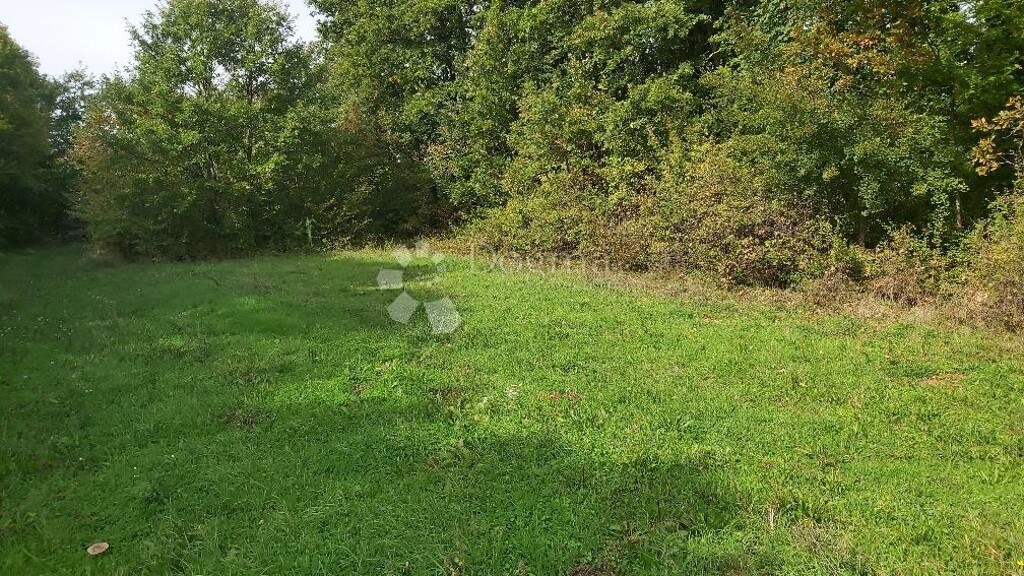 Image 6149838 - 4