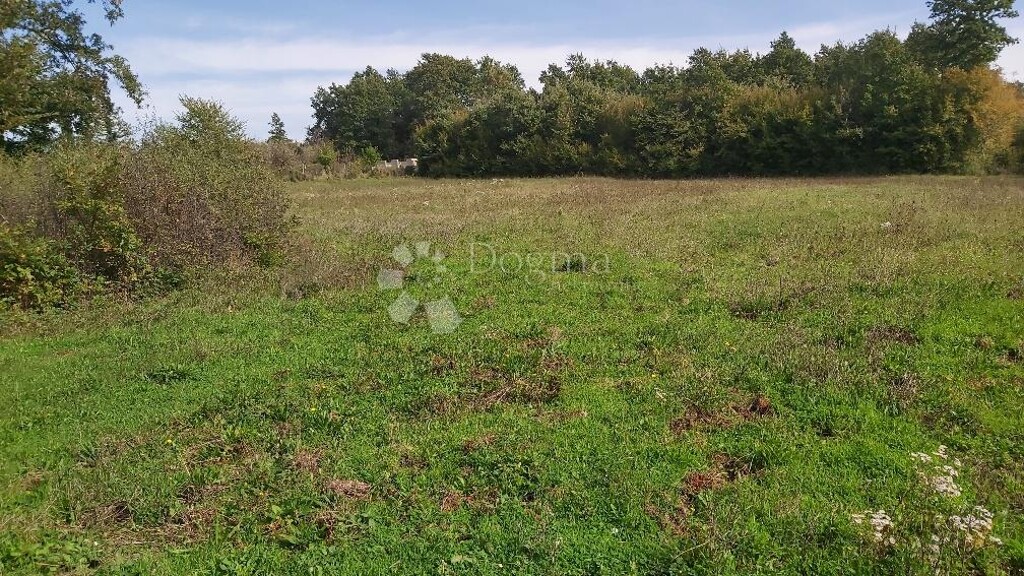 Image 6149838 - 3