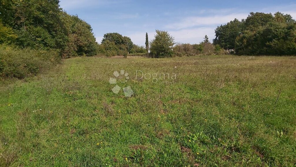 Image 6149838 - 1