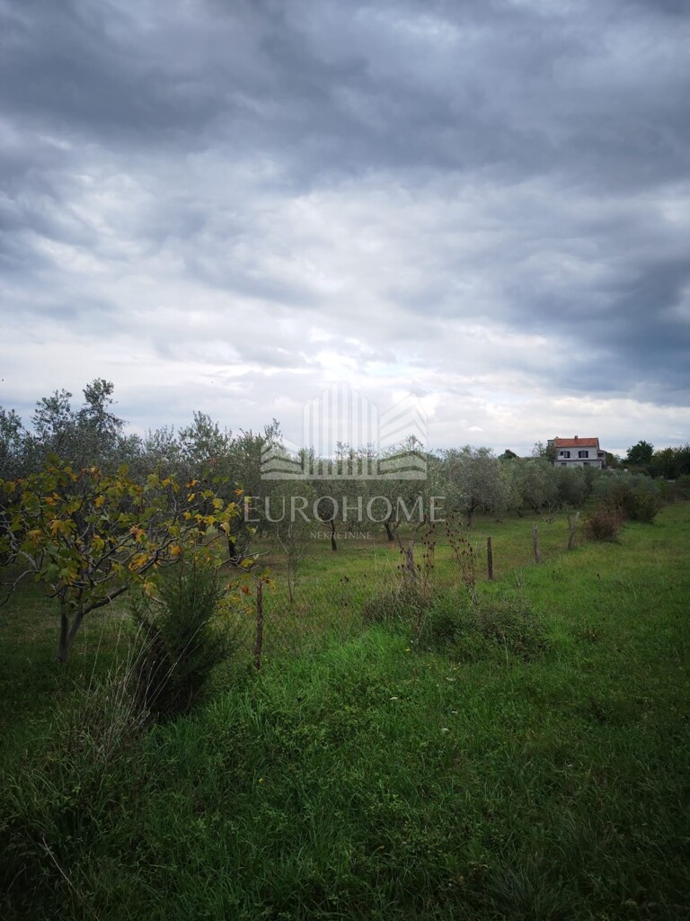 Image 6149861 - 1