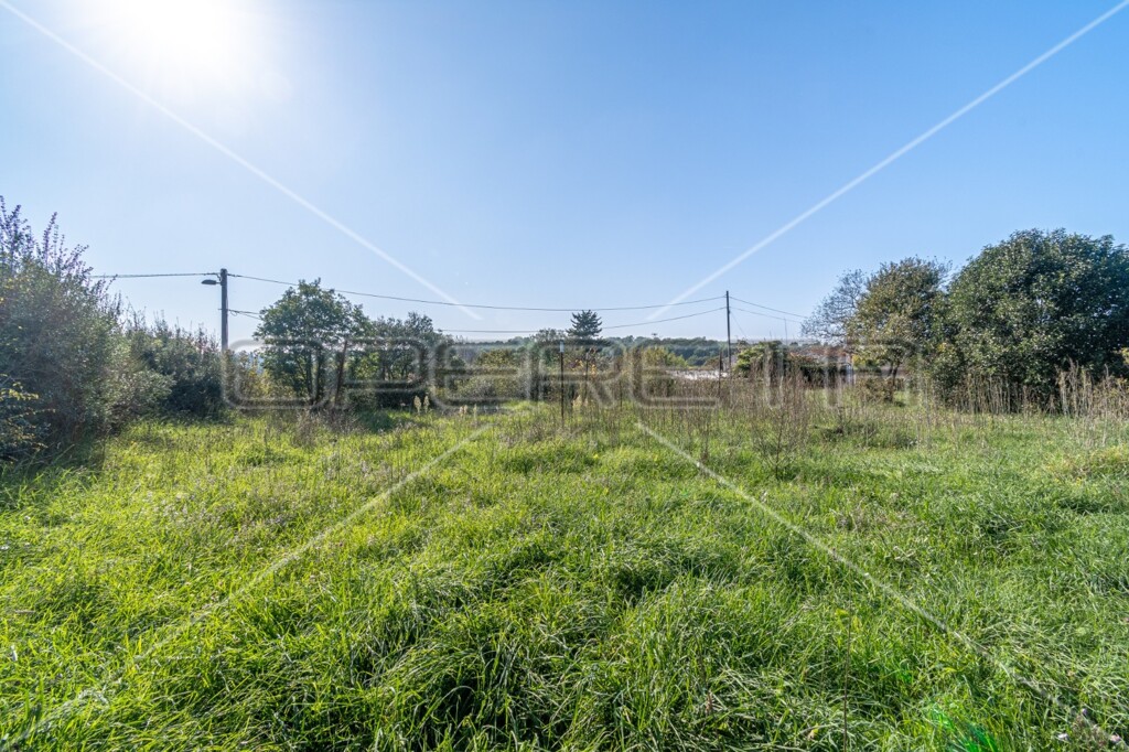 Image 6149971 - 4