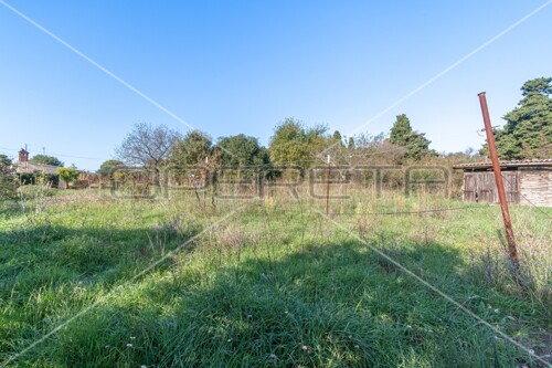 Thumbnail 6149971 - 5