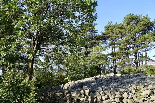Thumbnail 6150369 - 3