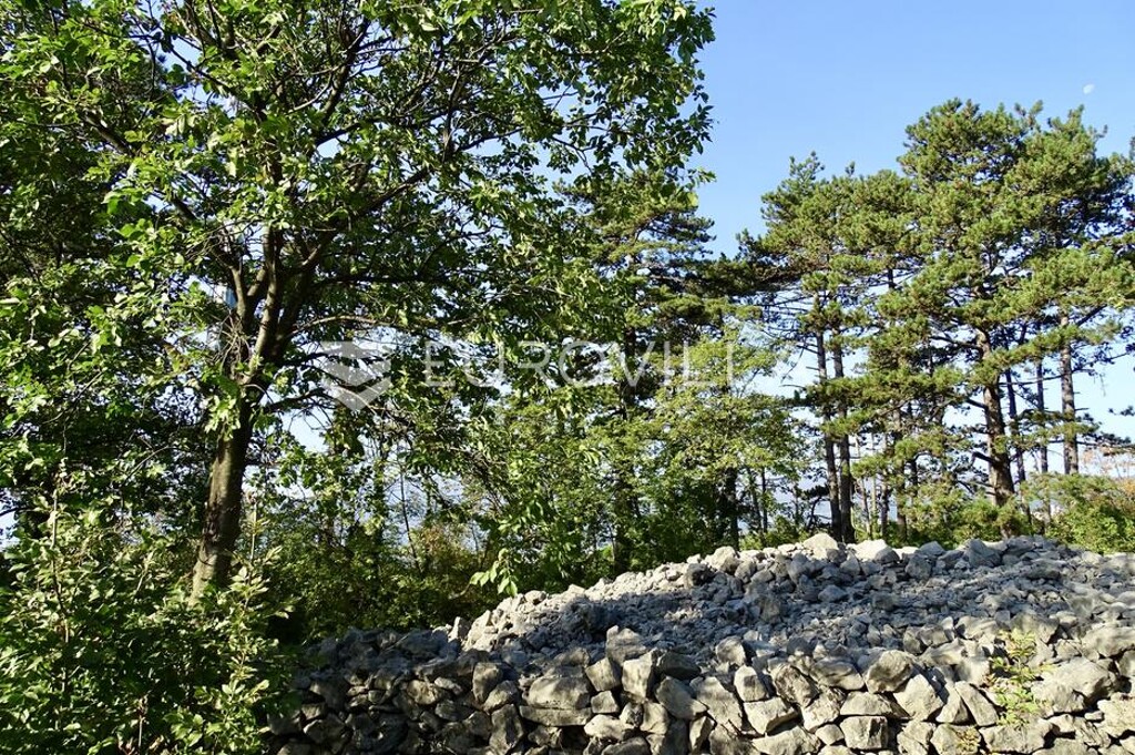 Image 6150369 - 3