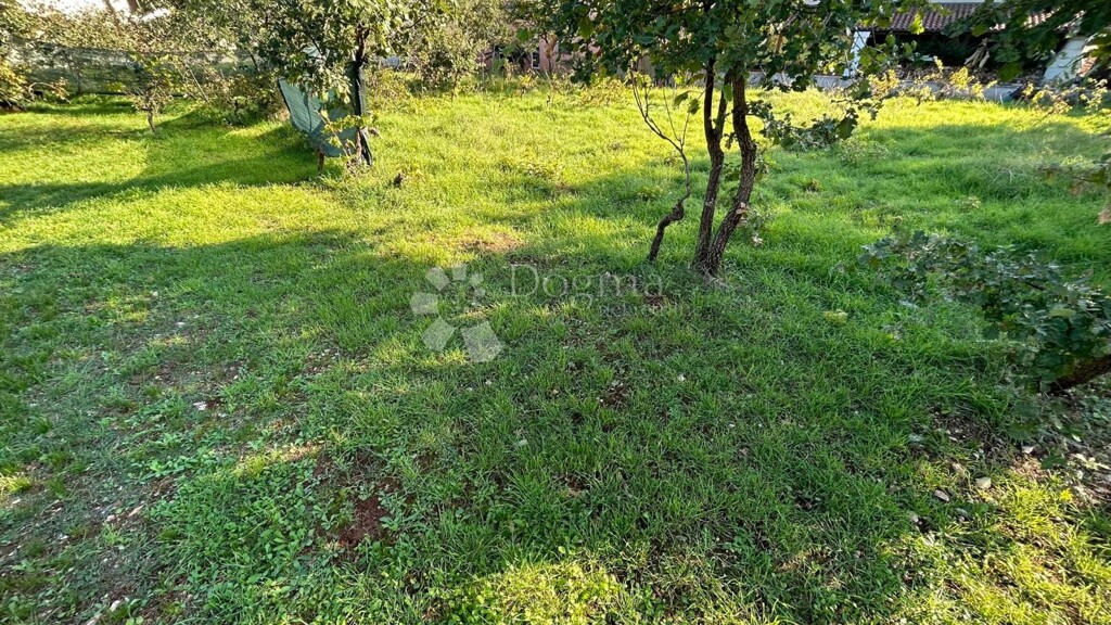 Image 6150408 - 3