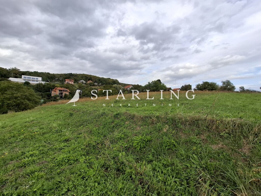Image 6150421 - 2