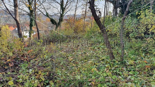 Thumbnail 6150520 - 10