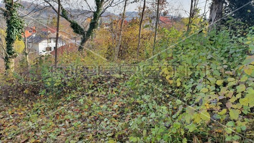 Thumbnail 6150520 - 11