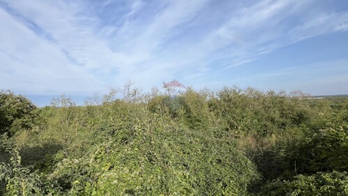 Thumbnail 6150677 - 3