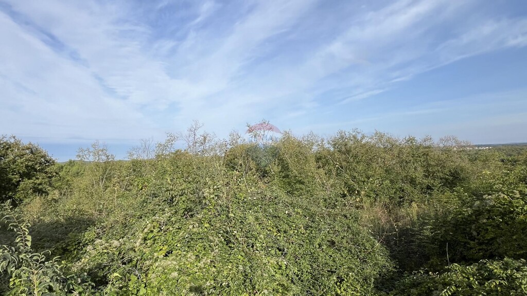 Image 6150677 - 3