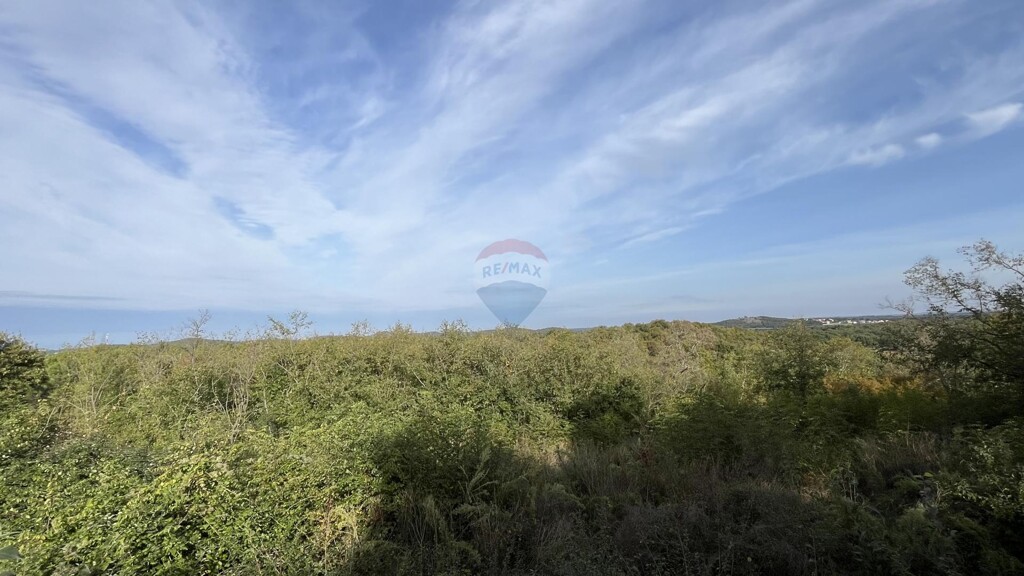 Image 6150677 - 2