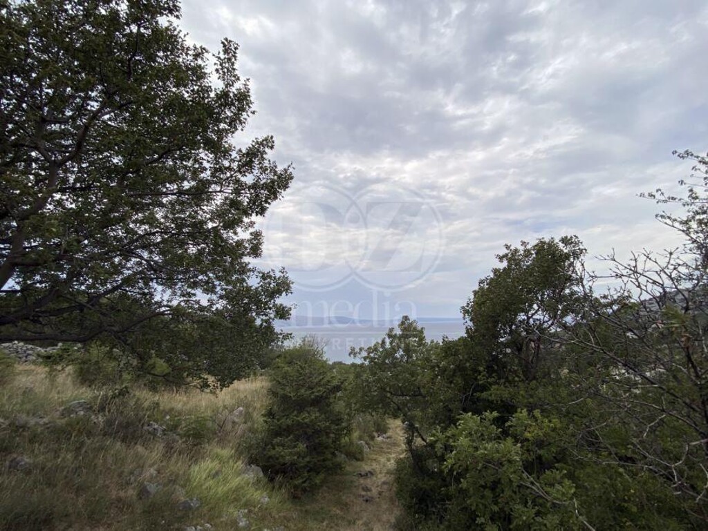Image 6150751 - 1