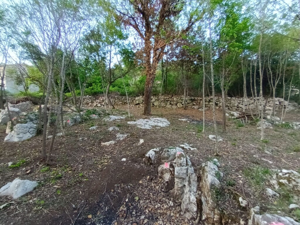 Image 6150753 - 1