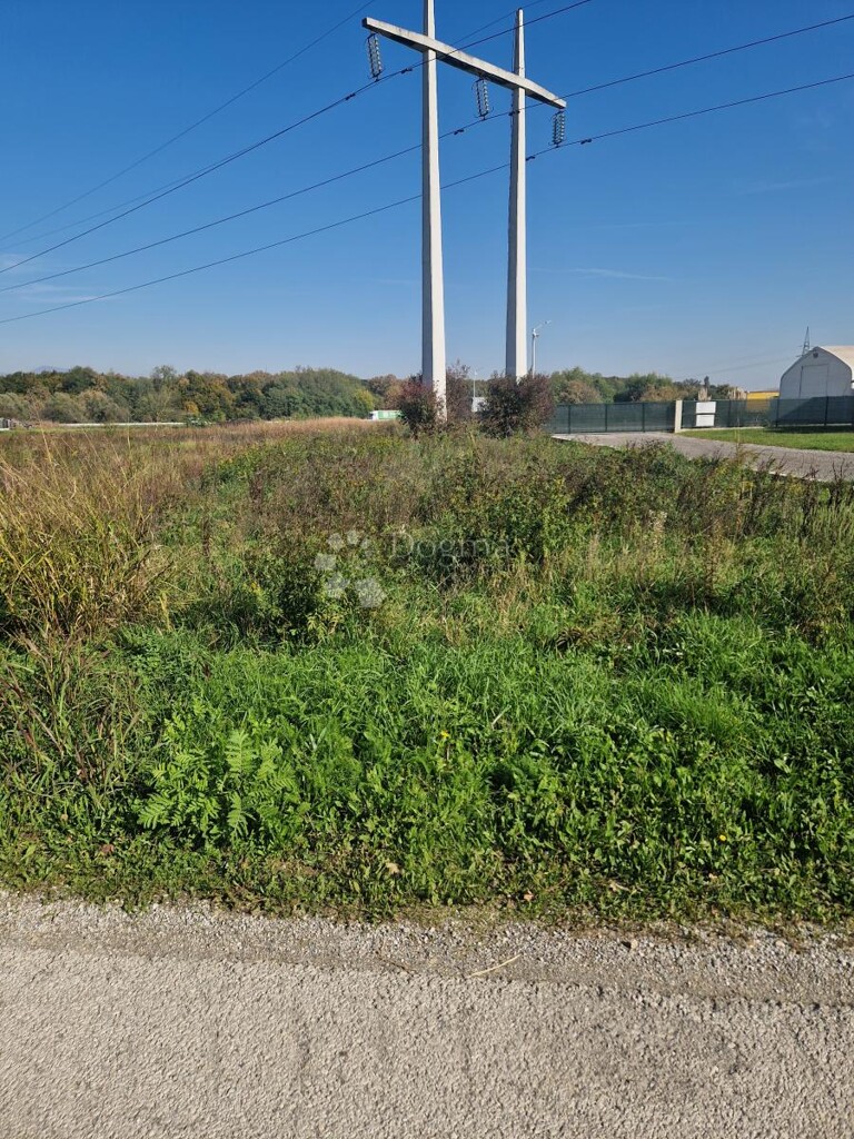 Image 6151160 - 1