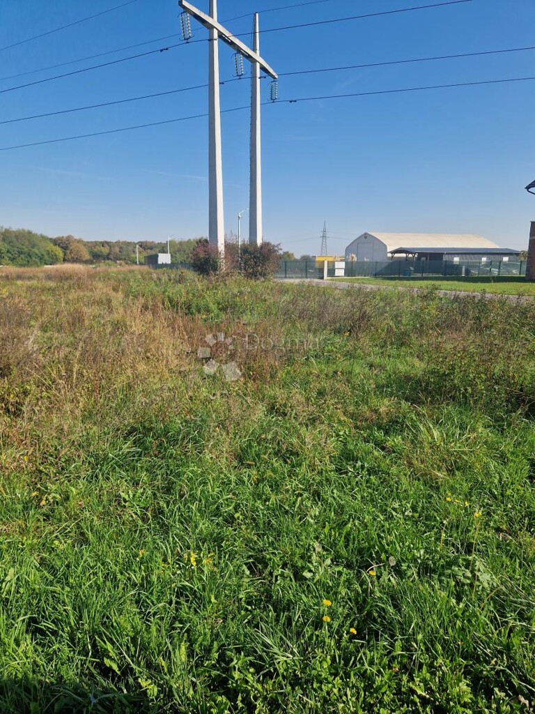 Image 6151160 - 2