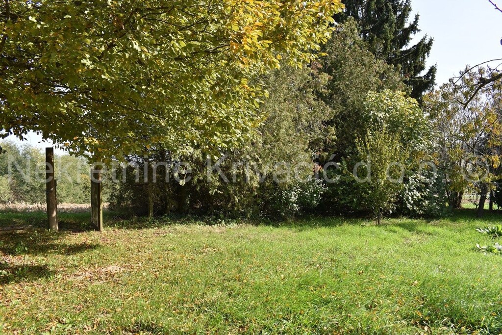 Image 6151249 - 13