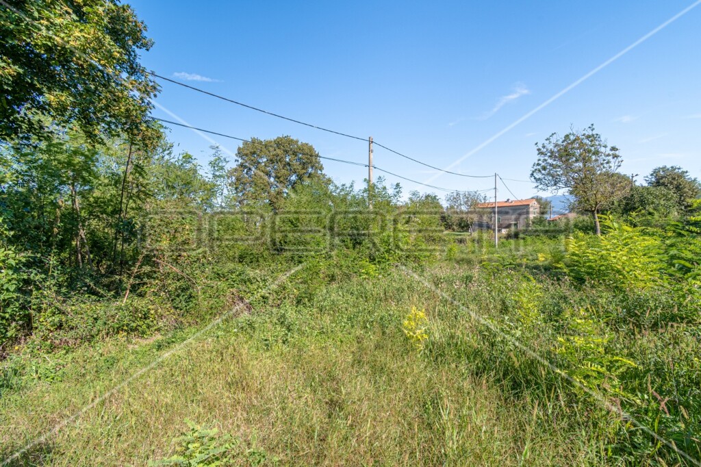 Image 6151306 - 7