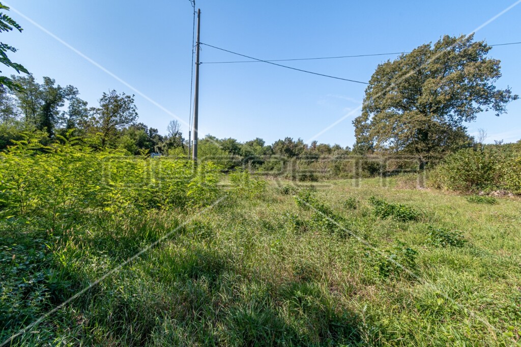 Image 6151306 - 8