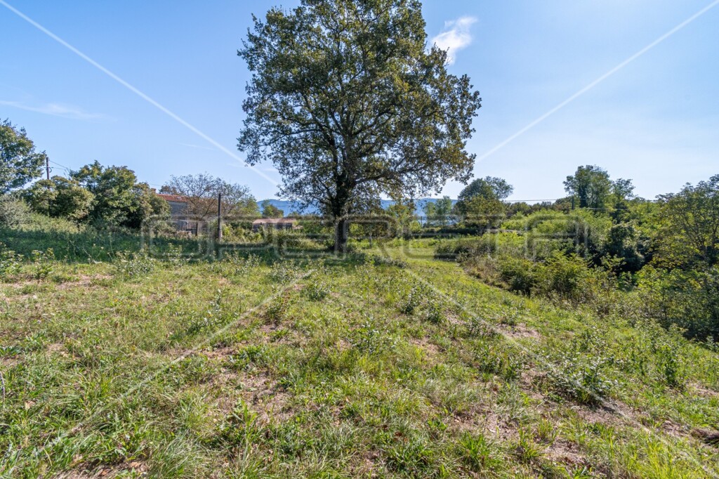 Image 6151306 - 6