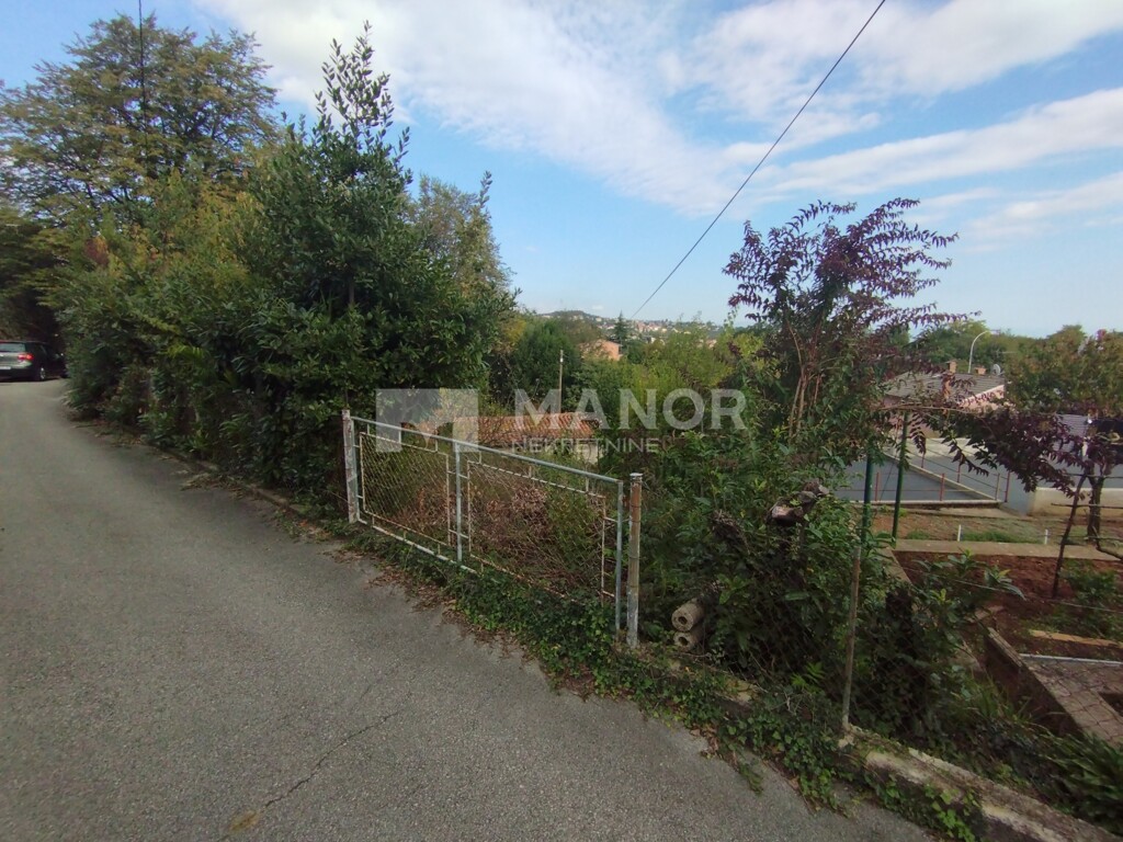 Image 6151372 - 1