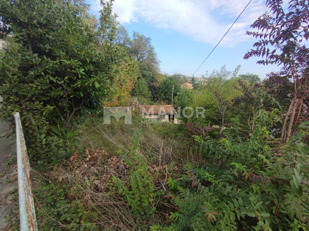 Image 6151372 - 4
