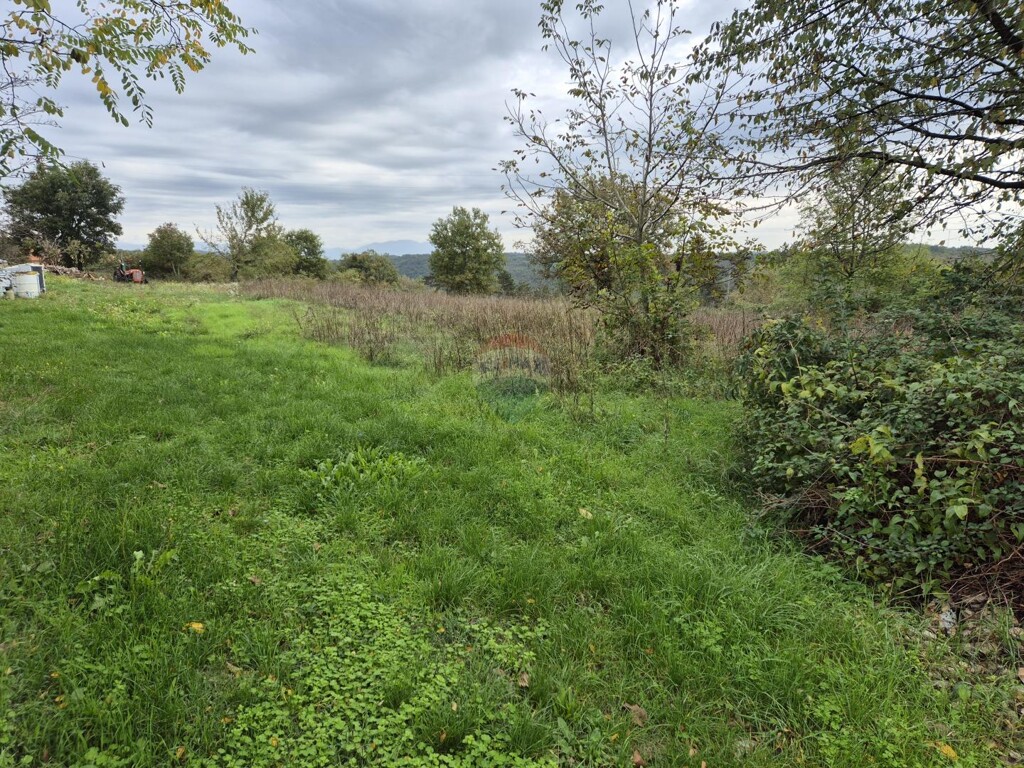 Image 6151433 - 2