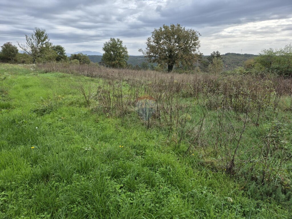 Image 6151433 - 3