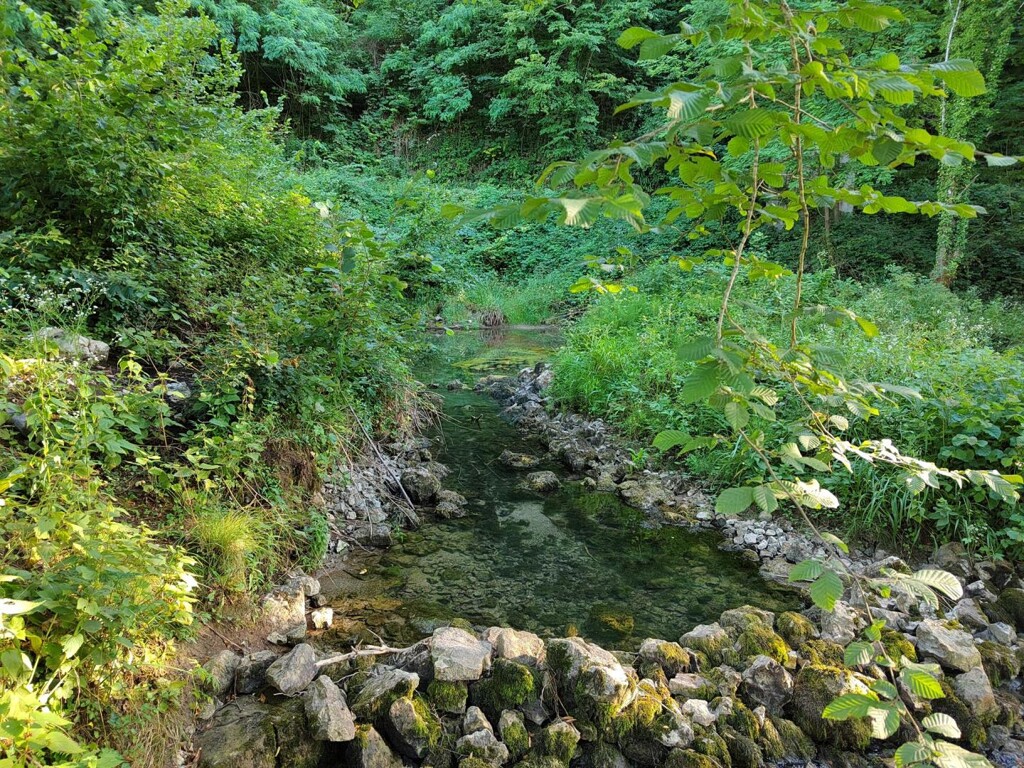 Image 6151435 - 18