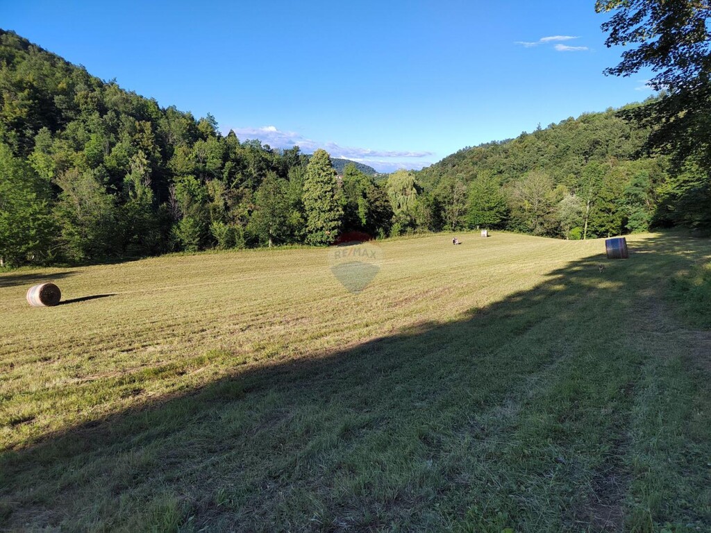 Image 6151435 - 17